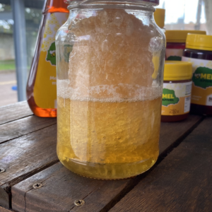 Favo de mel 100% puro e natural