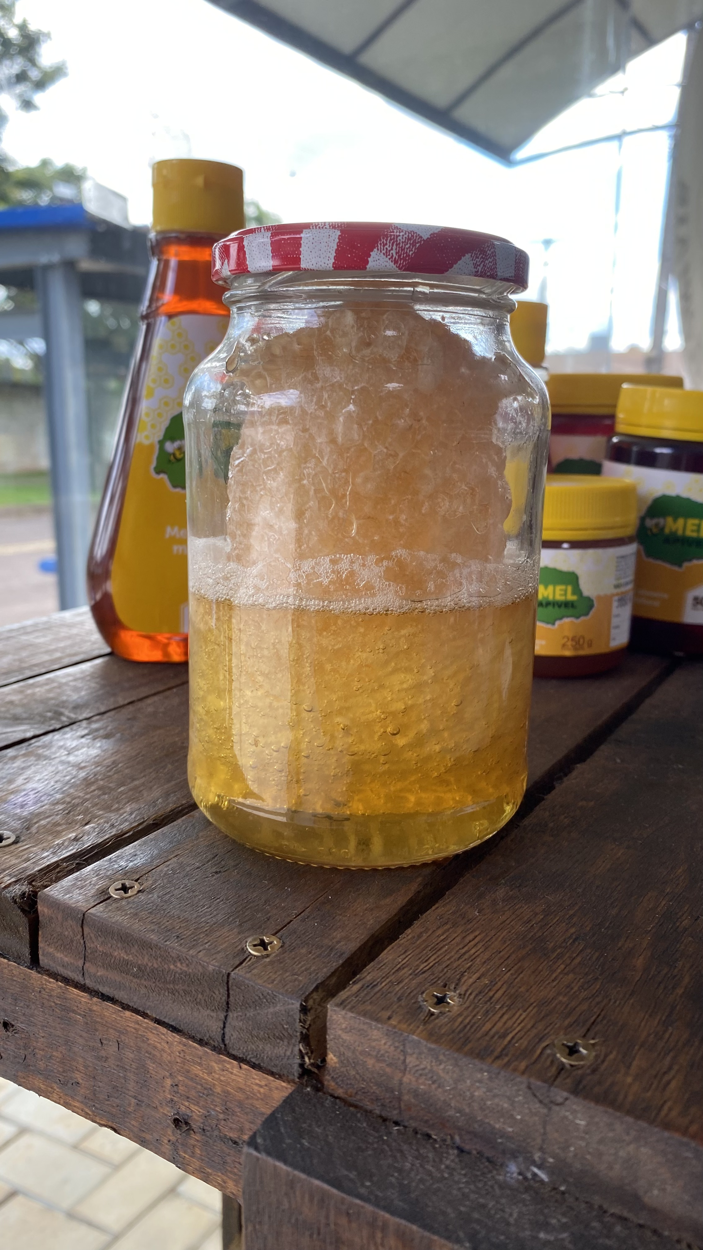 Favo de mel 100% puro e natural